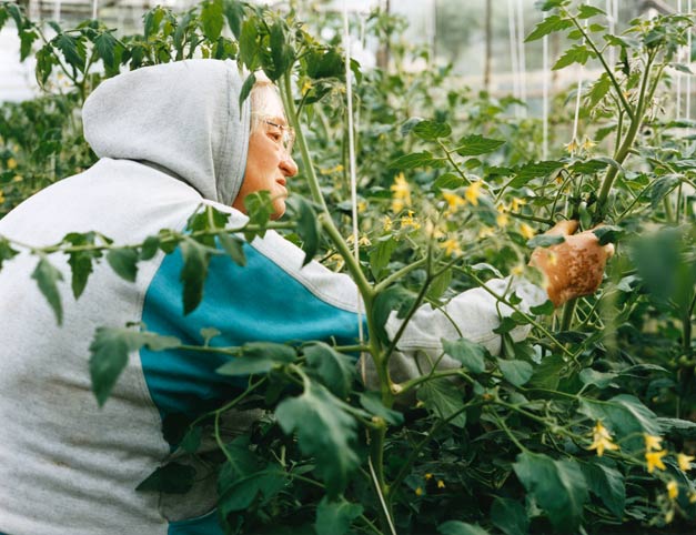 margret berührt eine pflanze mit ihrer hand // margret touches a plant with her hand