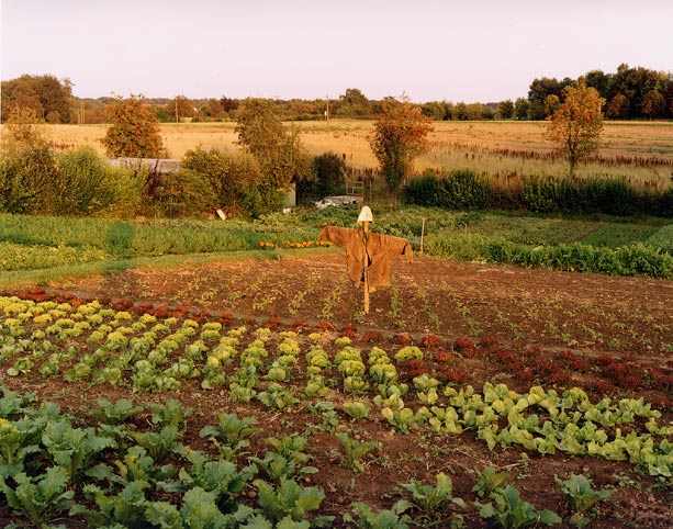 vogelscheuche mit ausgestreckten armen · scarecrow with outstretched arms